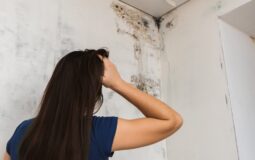 Battling the Invaders: A Comprehensive Guide to Addressing Mold and Mildew Issues in Damp Areas of Your Home