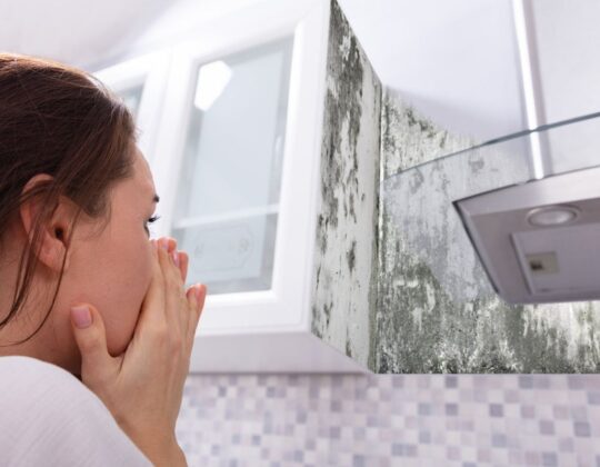 Banishing Musty Odors: A Comprehensive Guide to Eliminating Persistent Musty Smells in Your Home