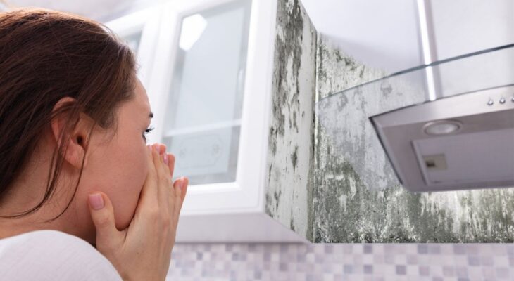 Banishing Musty Odors: A Comprehensive Guide to Eliminating Persistent Musty Smells in Your Home